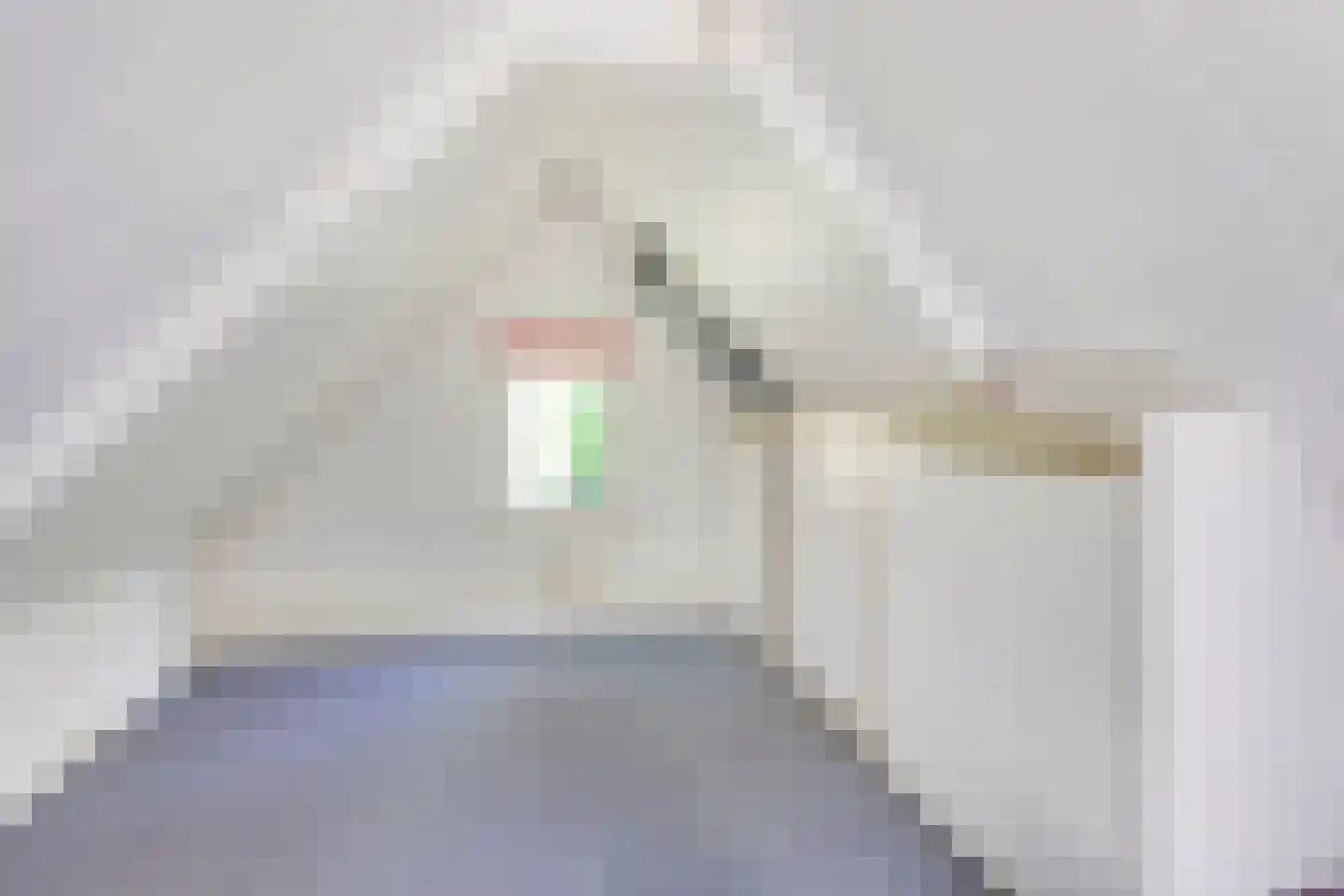 Marijkeweg 38 Ouddorp thumbnail 27
