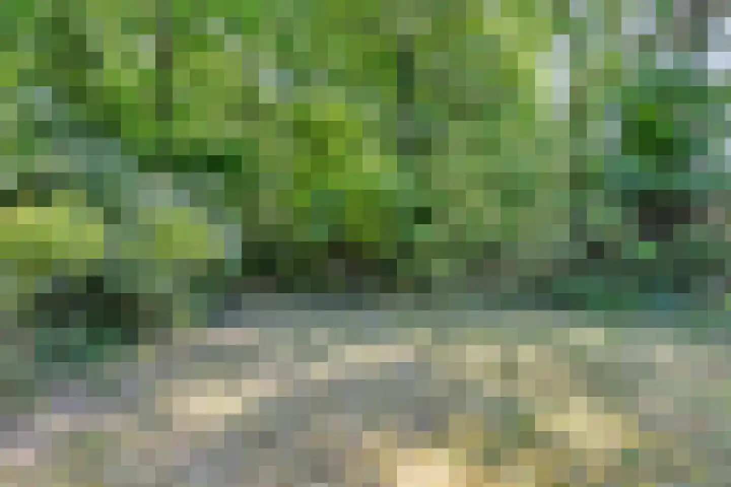 Marijkeweg 38 Ouddorp thumbnail 43