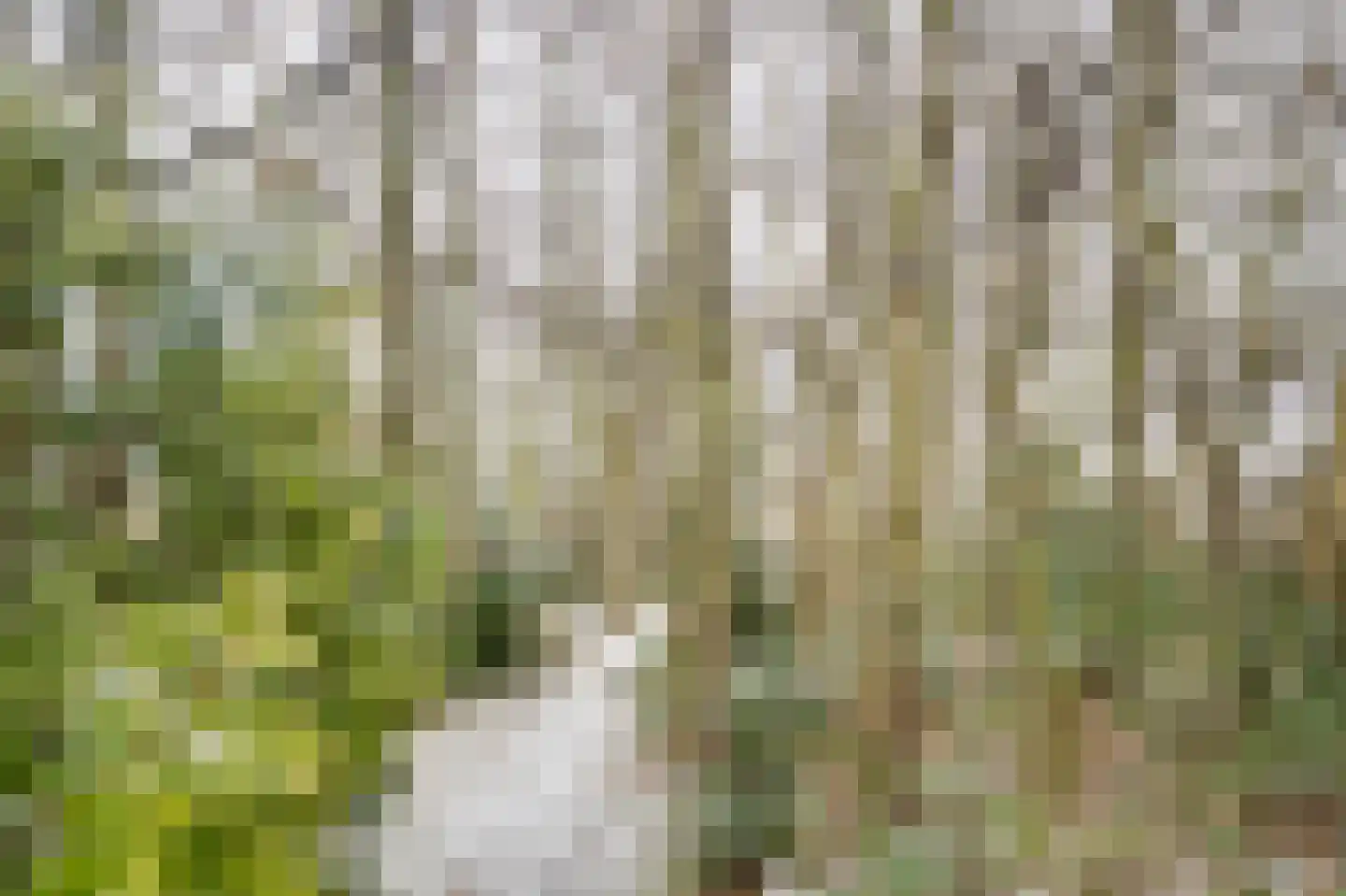 Marijkeweg 38 Ouddorp thumbnail 45