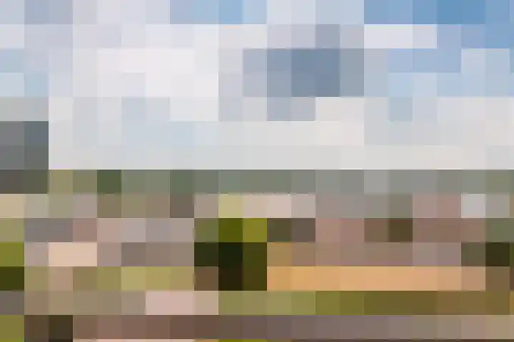 Marinaweg 131 Almere thumbnail 34