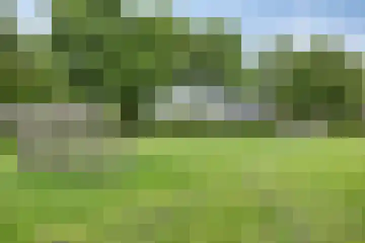 Marinus Postlaan 95 Kampen thumbnail 35