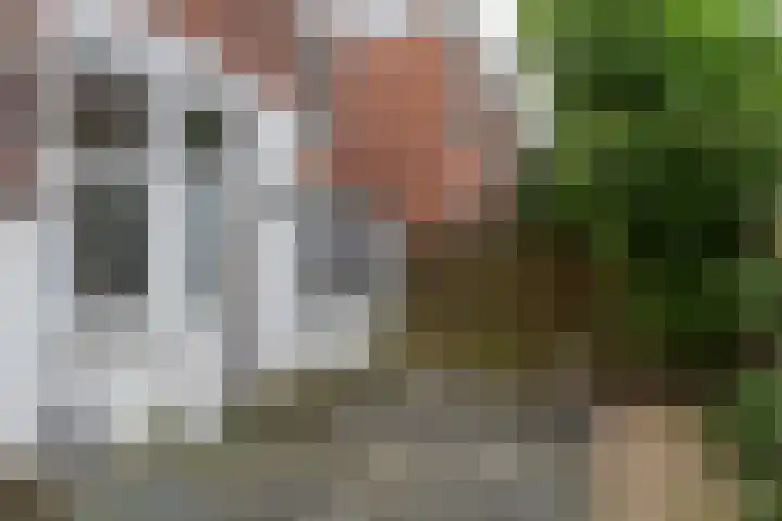 Mariottestraat 49 Den Haag thumbnail 15