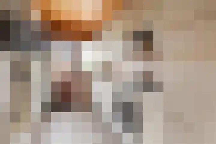 Marius Bauerstraat 1 Woerden thumbnail 11