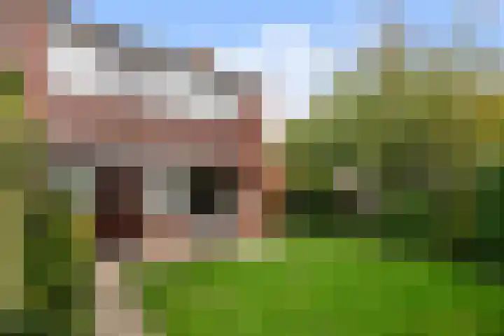 Marius Bauerstraat 1 Woerden thumbnail 16
