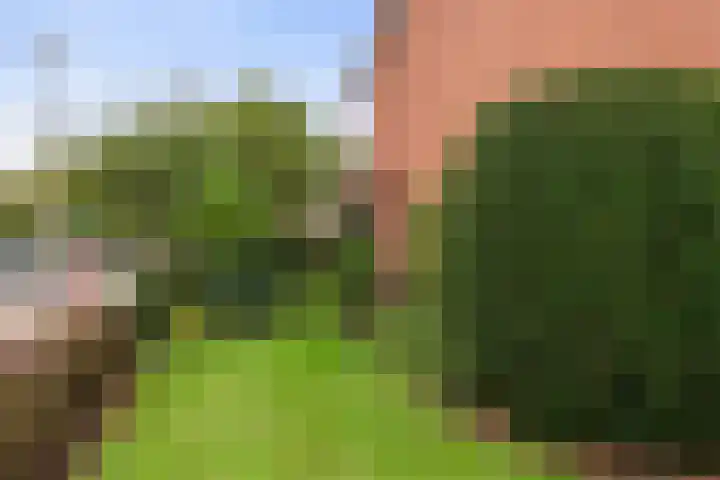 Marius Bauerstraat 1 Woerden thumbnail 19