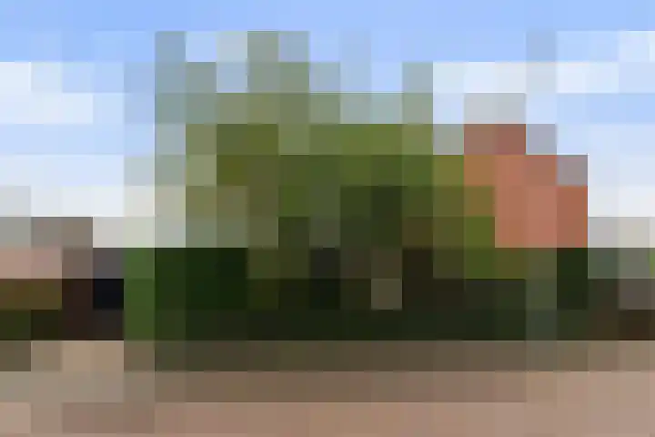 Marius Bauerstraat 1 Woerden thumbnail 30