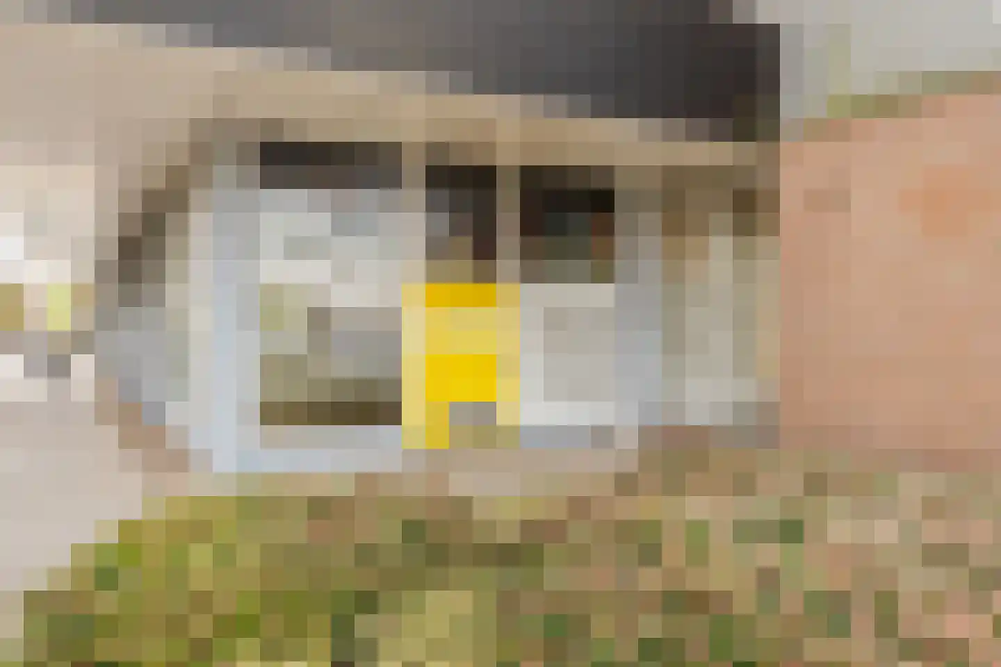 Marius Bauerstraat 235 B 2 Amsterdam thumbnail 14