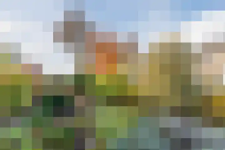 Marius Bauerstraat 3 Eindhoven thumbnail 12