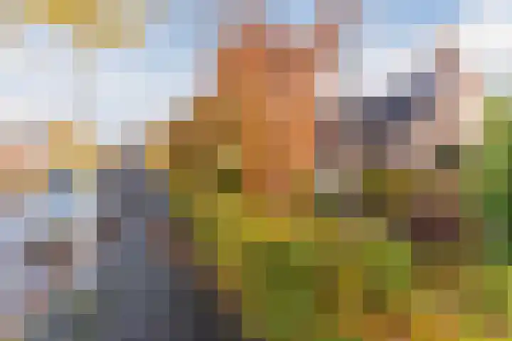 Marius Bauerstraat 3 Eindhoven thumbnail 6