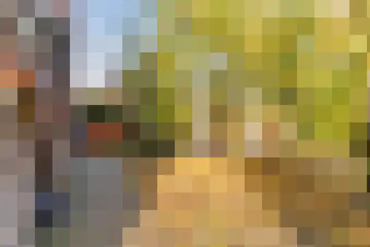 Marius Bauerstraat 3 Eindhoven thumbnail 64