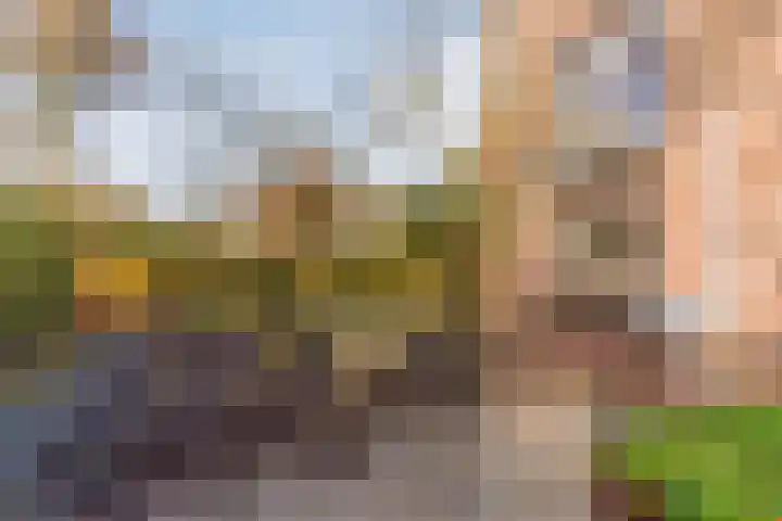 Marius Bauerstraat 3 Eindhoven thumbnail 69