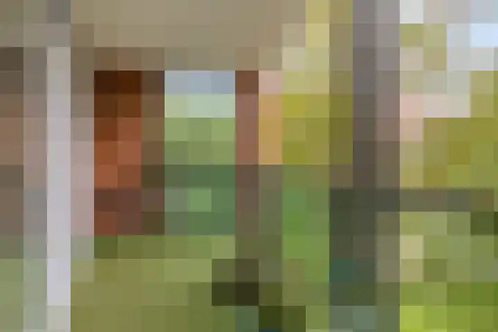 Marius de Langenstraat 112 Oss thumbnail 8