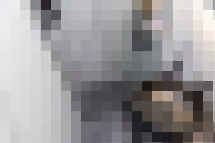 Kantoor foto van Marjet Makelaardij