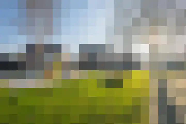 Marjolein 43 Venray thumbnail 52