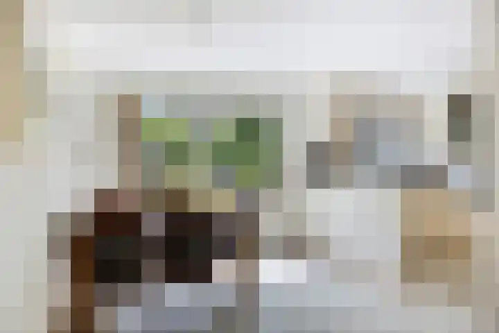 Marjolein 6 Wijhe thumbnail 11