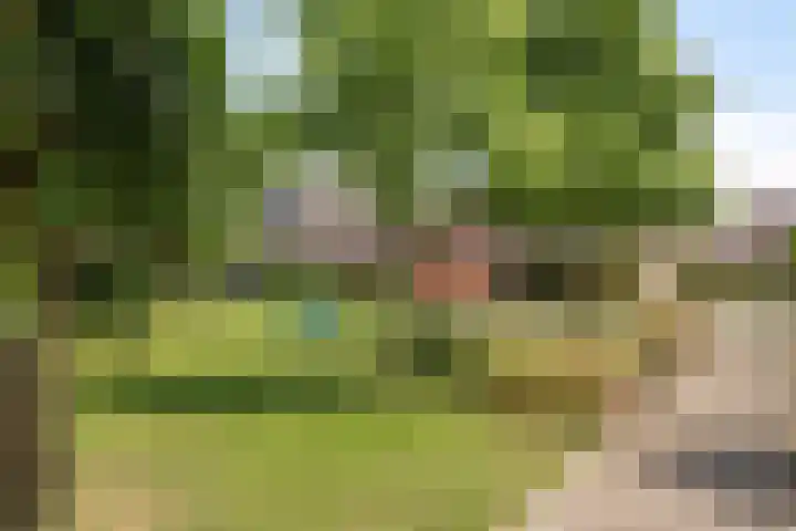 Marjolein 6 Wijhe thumbnail 37