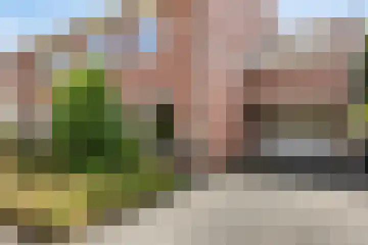 Marjolein 6 Wijhe thumbnail 5