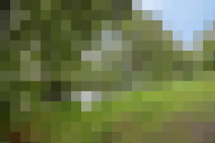 Marjoleinstraat 127 Amsterdam thumbnail 19