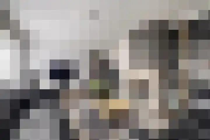 Mark 104 Dronten thumbnail 10