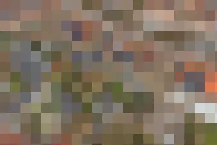 Mark 104 Dronten thumbnail 38