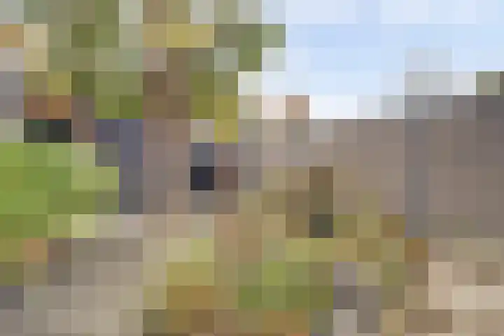 Mark 104 Dronten thumbnail 43