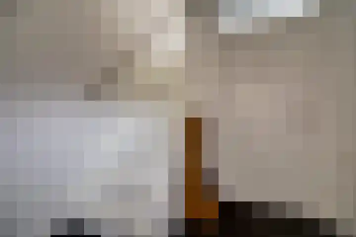 Mark 104 Dronten thumbnail 8