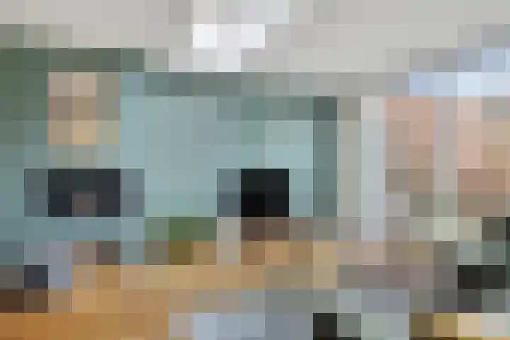 Mark 12 Oisterwijk thumbnail 13