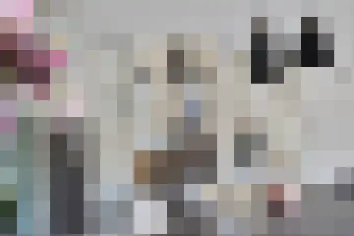 Mark 12 Oisterwijk thumbnail 18