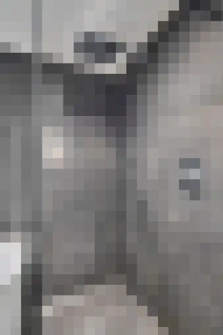 Mark 12 Oisterwijk thumbnail 30