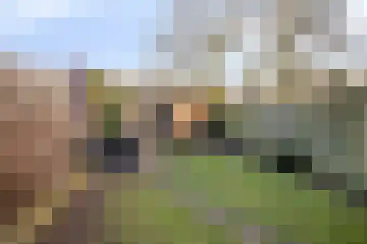 Mark 12 Oisterwijk thumbnail 37