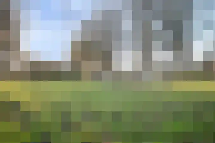 Mark 12 Oisterwijk thumbnail 42