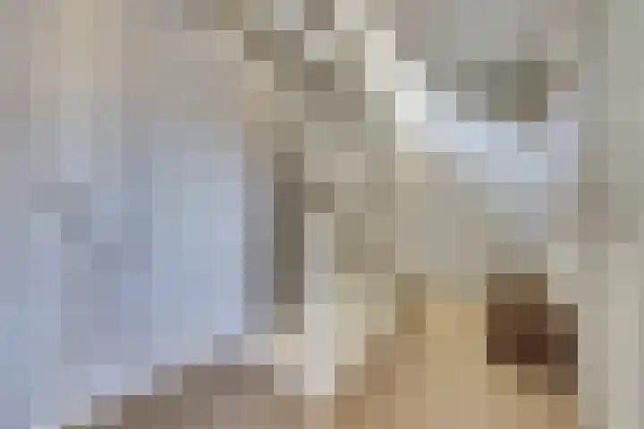 Mark 13 Dronten thumbnail 19