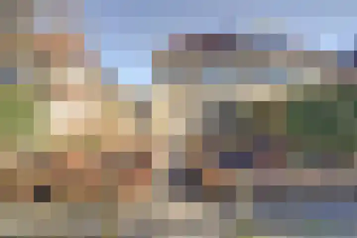 Mark 13 Dronten foto 2