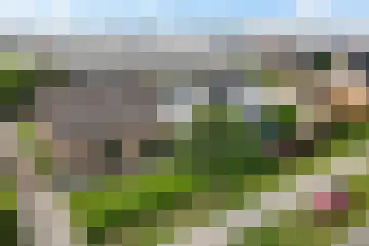 Mark 13 Dronten thumbnail 35