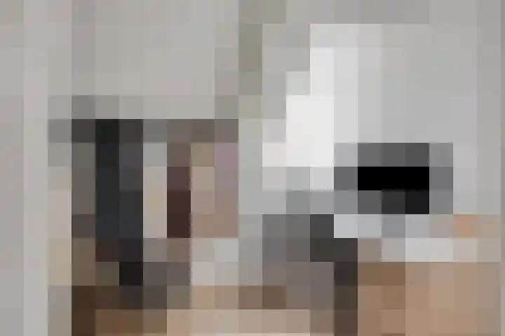 Mark 13 Dronten thumbnail 43