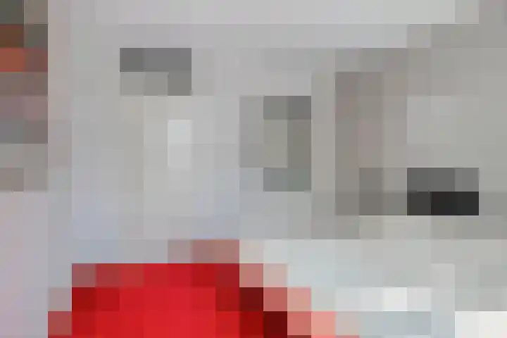 Mark 29 Oisterwijk thumbnail 17