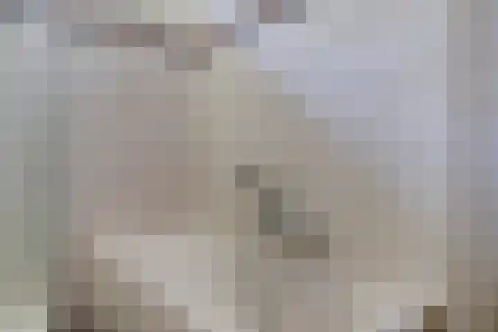 Mark 29 Oisterwijk thumbnail 22