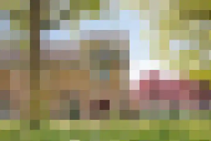 Mark 29 Oisterwijk thumbnail 31