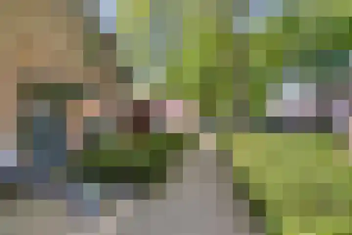 Mark 29 Oisterwijk thumbnail 32