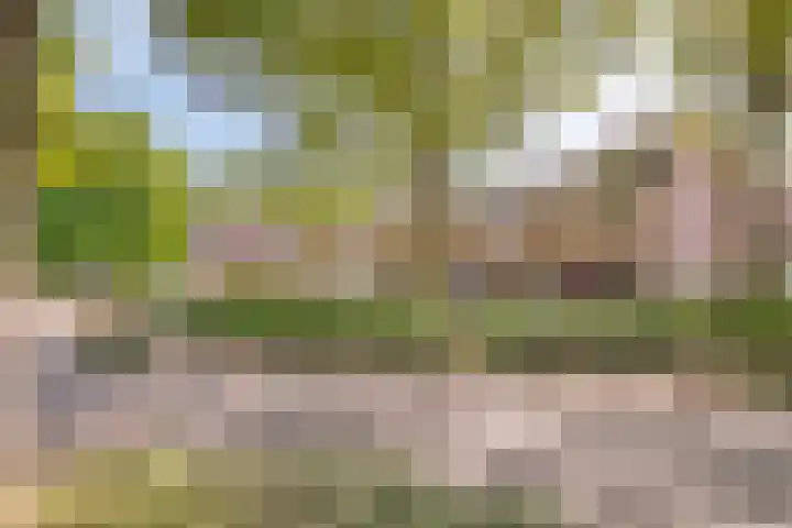 Mark 29 Oisterwijk thumbnail 34