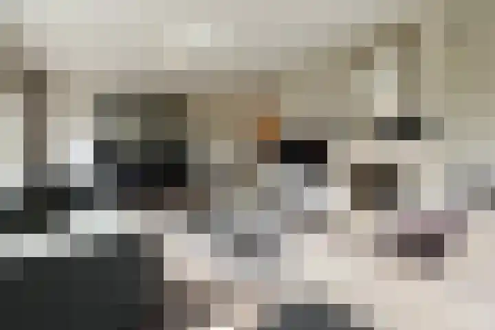 Mark 46 Dronten thumbnail 17