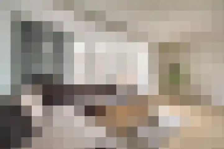 Mark 46 Dronten thumbnail 8