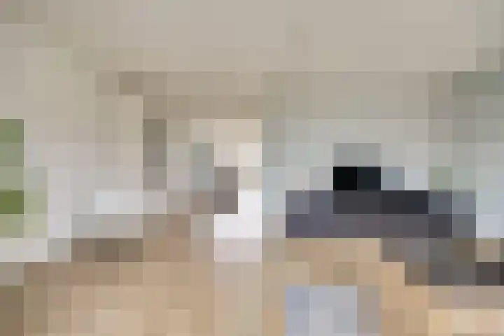 Mark 46 Dronten thumbnail 9