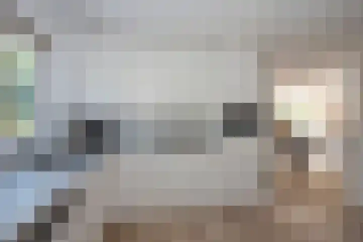 Marke Elsen 8 Almelo thumbnail 13
