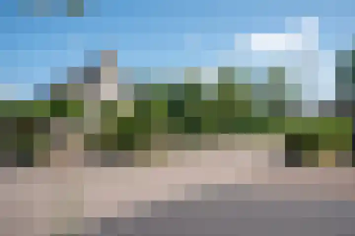 Marke Elsen 8 Almelo thumbnail 28