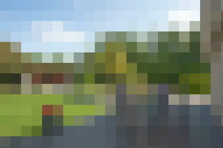 Marke Elsen 8 Almelo thumbnail 29