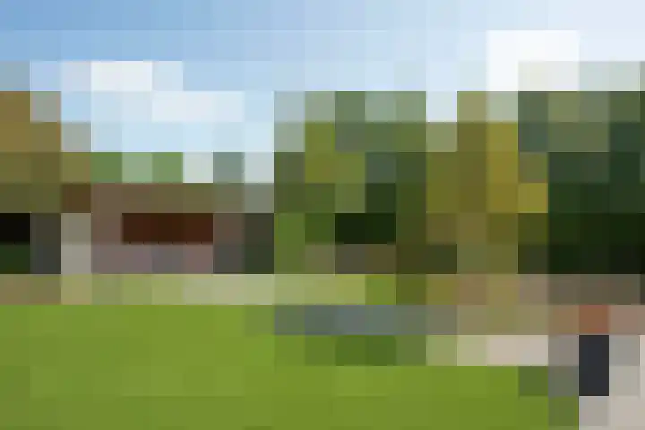Marke Elsen 8 Almelo foto 3