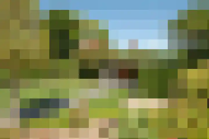 Marke Elsen 8 Almelo thumbnail 30