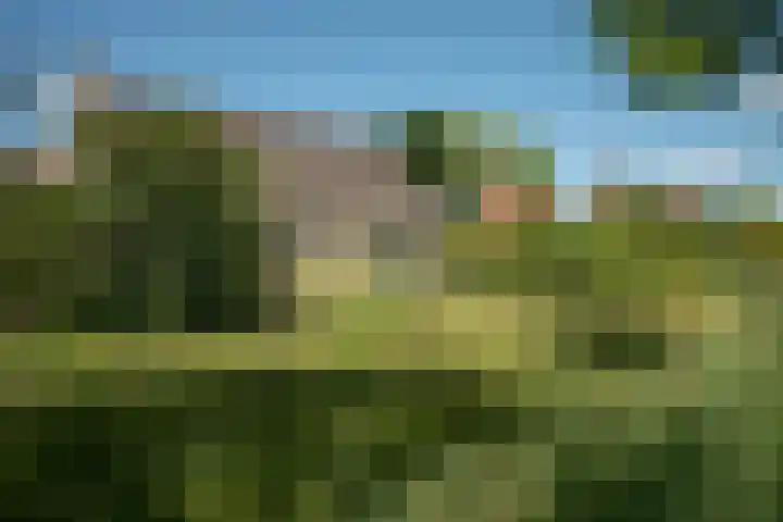 Marke Elsen 8 Almelo thumbnail 34