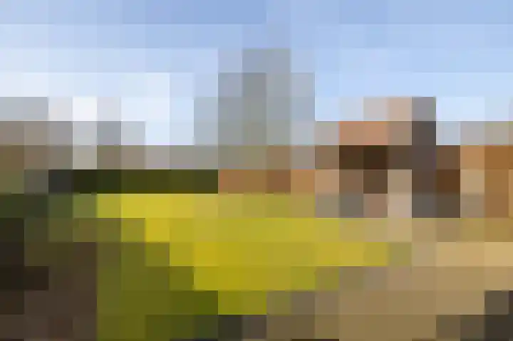 Marke Mander 11 Almelo thumbnail 22